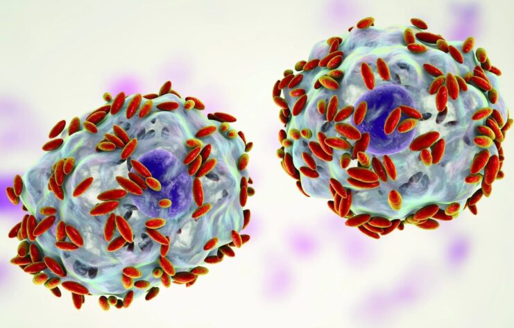 iSelfTest Bacterial Vaginitis