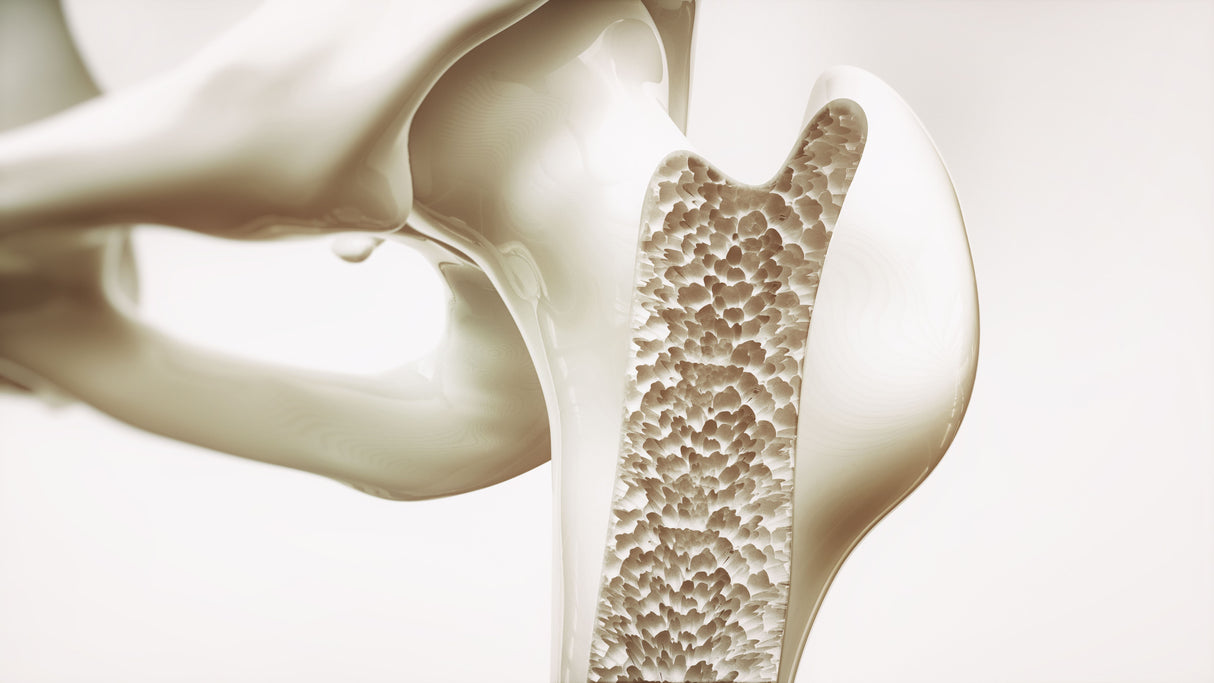 iSelfTest Bone Density