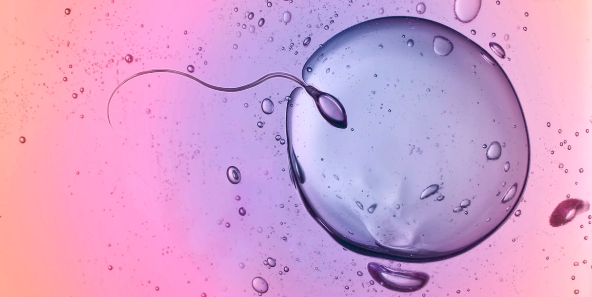 iSelfTest Infertility Risk