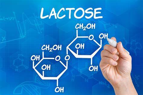 Food Allergy & Compatibility for Lactose