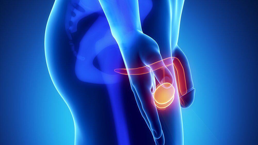 iSelfTest Testicular- & Prostate Cancer Risk